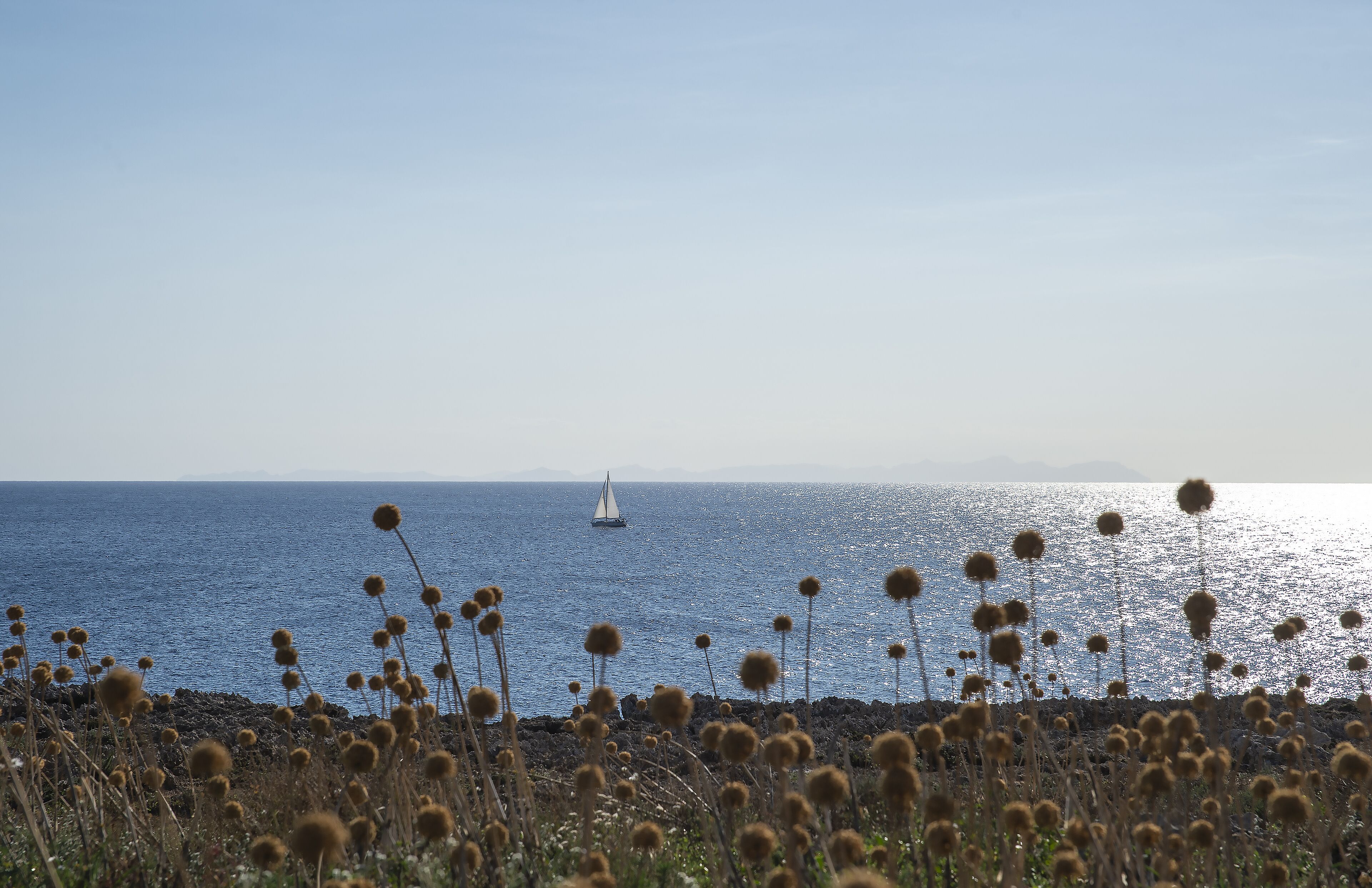 A coastal landscape with a sailboat on the water and dry grass in the foreground.