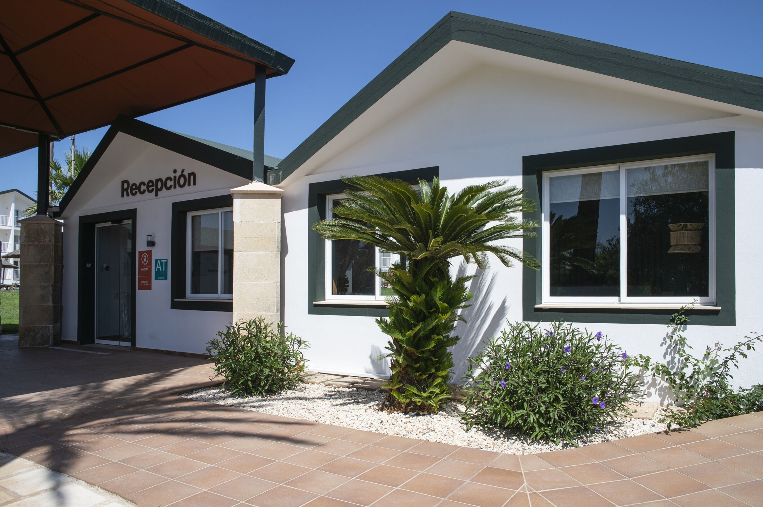 A building with a reception area, a sign reading "Recepción," and a small palm tree in the foreground.