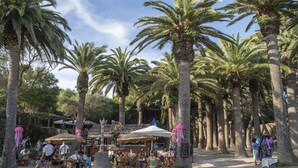 A beachside café with outdoor seating, surrounded by tall palm trees. - Pierre & Vacances Menorca Cala Blanes (Ciutadella de Menorca)