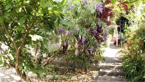 A garden with a variety of plants and a stone pathway. - Leigh Lani Guest House (Victoria)