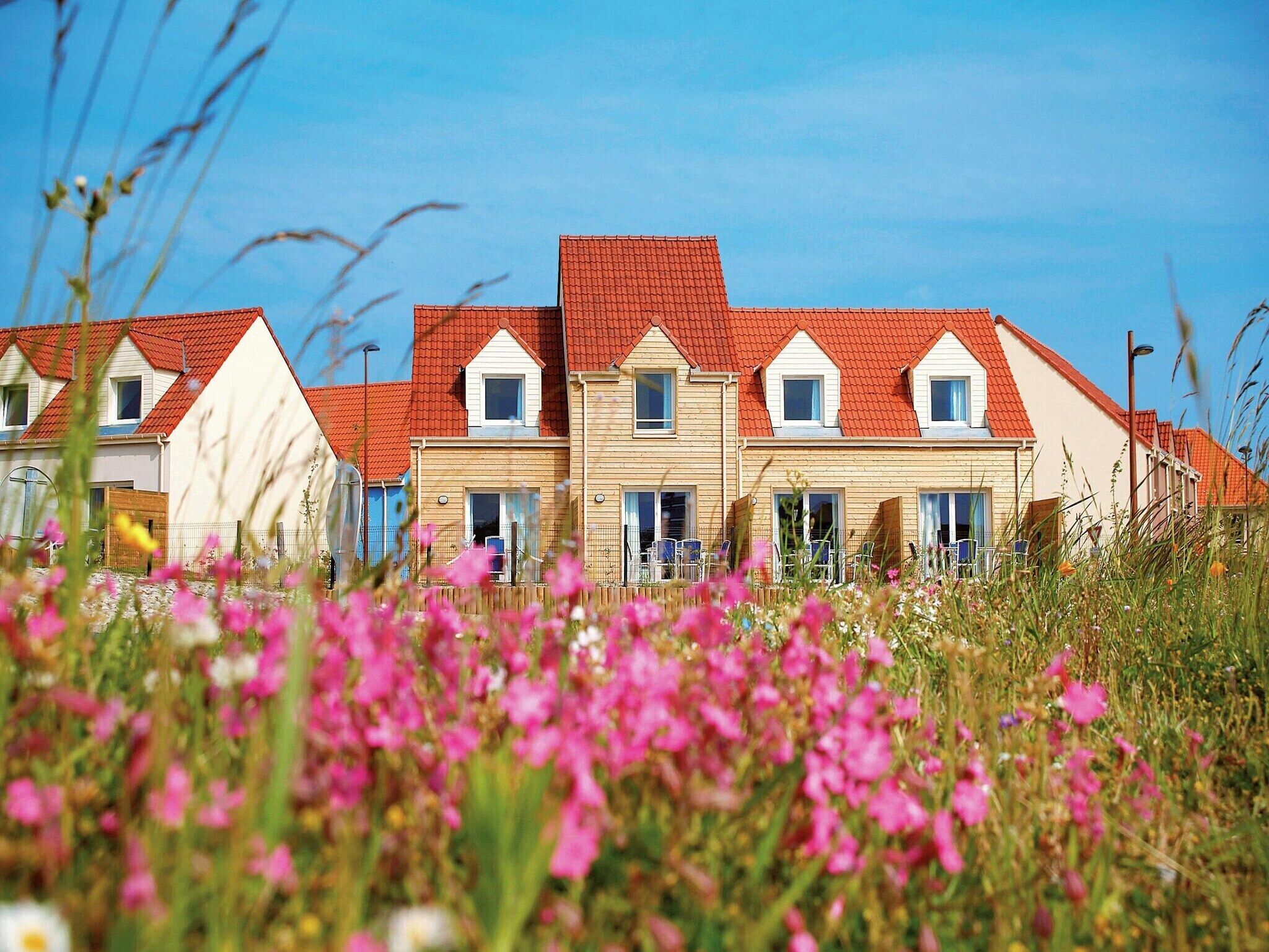 A row of houses with red roofs and white walls, surrounded by a field of pink flowers.