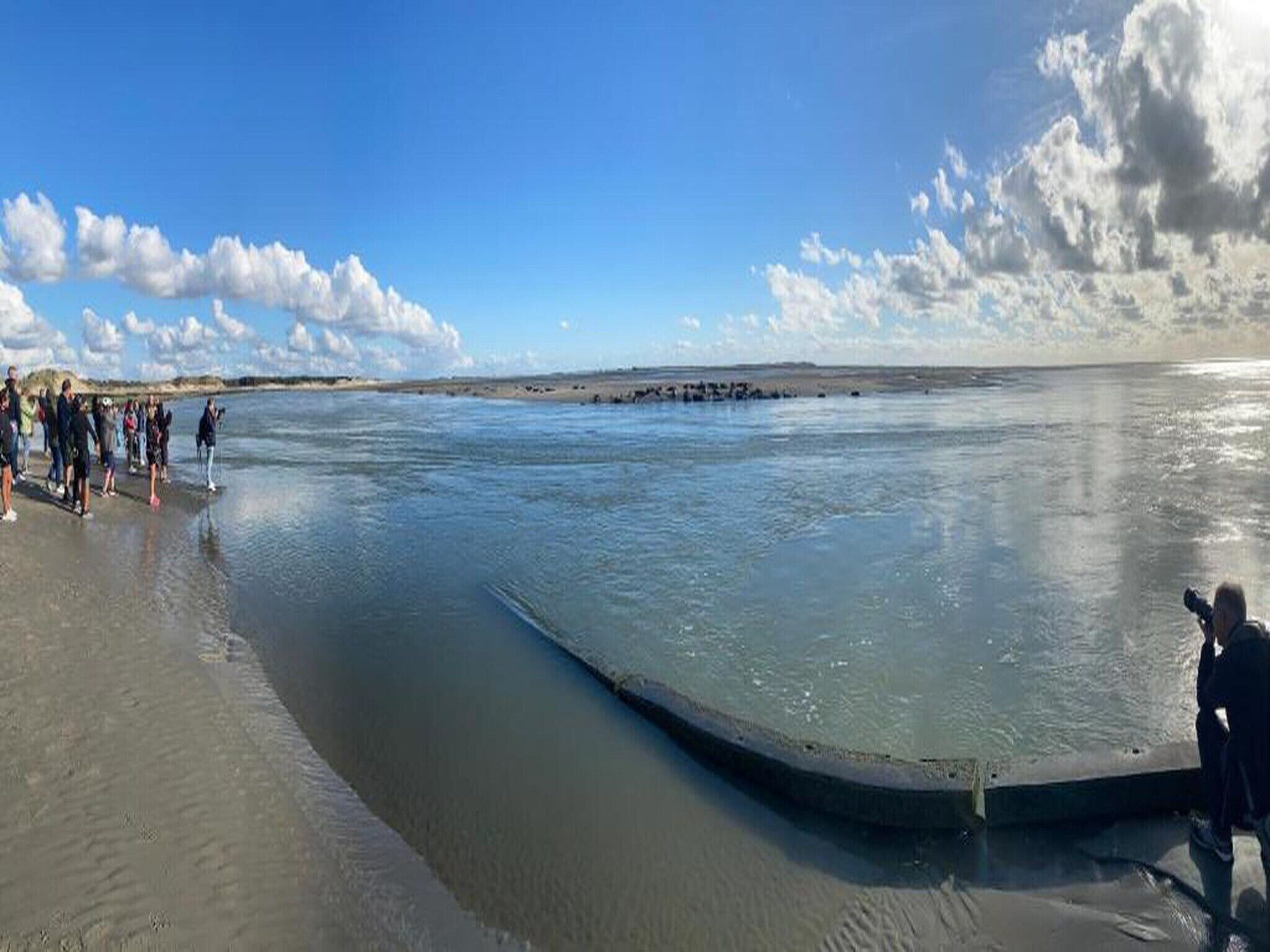Ein Strand mit ruhiger See, sandigem Ufer und einer Gruppe von Menschen.
