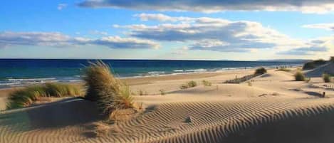 A beach with sand dunes and the ocean in the background.