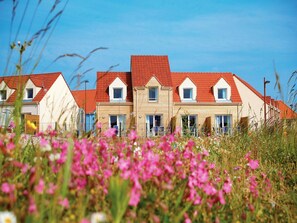 A row of houses with red roofs and white walls, surrounded by a field of pink flowers.
