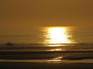 A sunset over a body of water with a boat and birds.