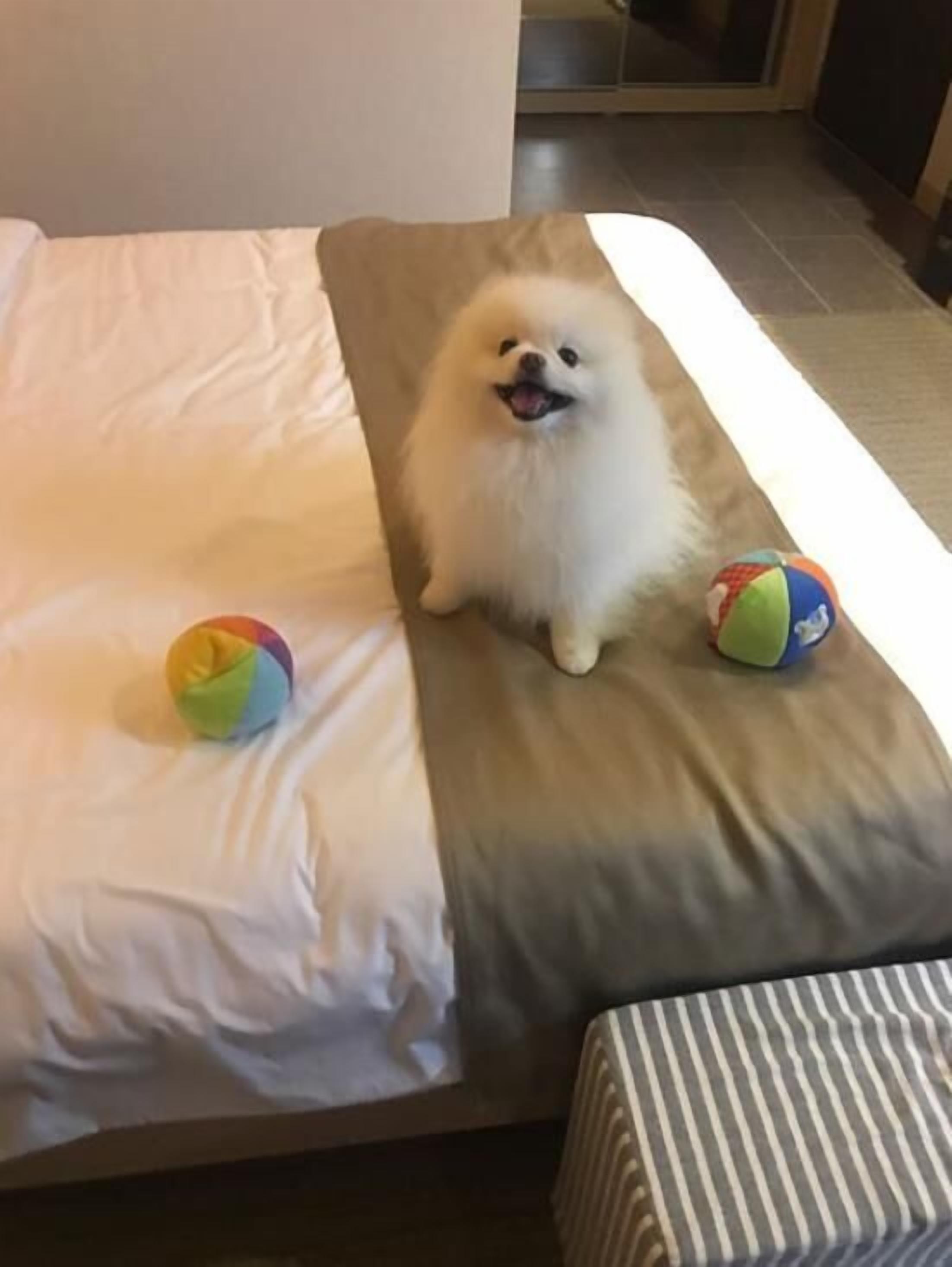 Luxe beddengoed, een kluis op de kamer, een bureau, een laptopwerkplek