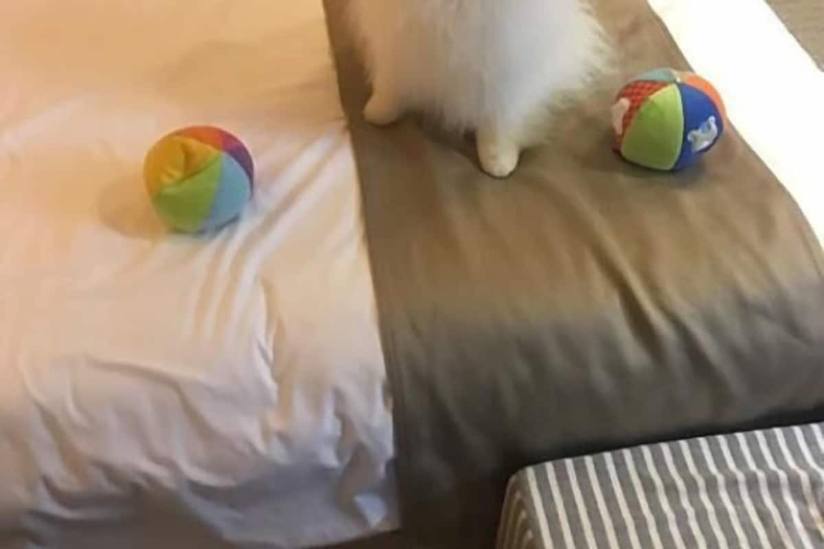 Hochwertige Bettwaren, Zimmersafe, Schreibtisch