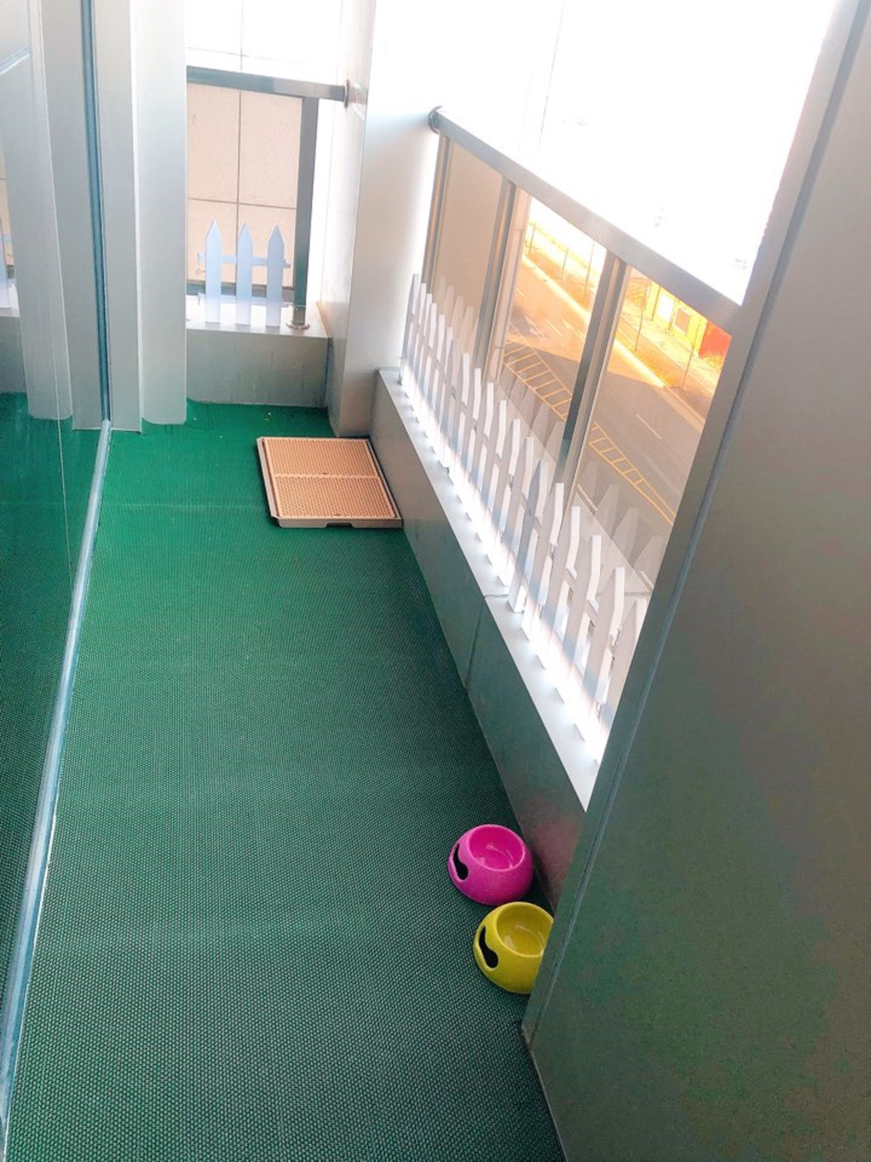 Premier Pet Room with Terrace | Balcony