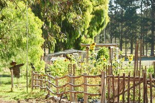 Vista desde la propiedad