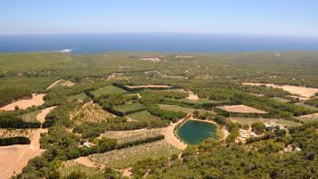 Vista aérea de un viñedo con campos escalonados y un lago.