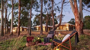 Un terrain de camping avec des tentes et un espace repas, le tout entouré d’arbres.