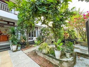 View from property - Trendy Life Villa Hoi An (Da Nang)