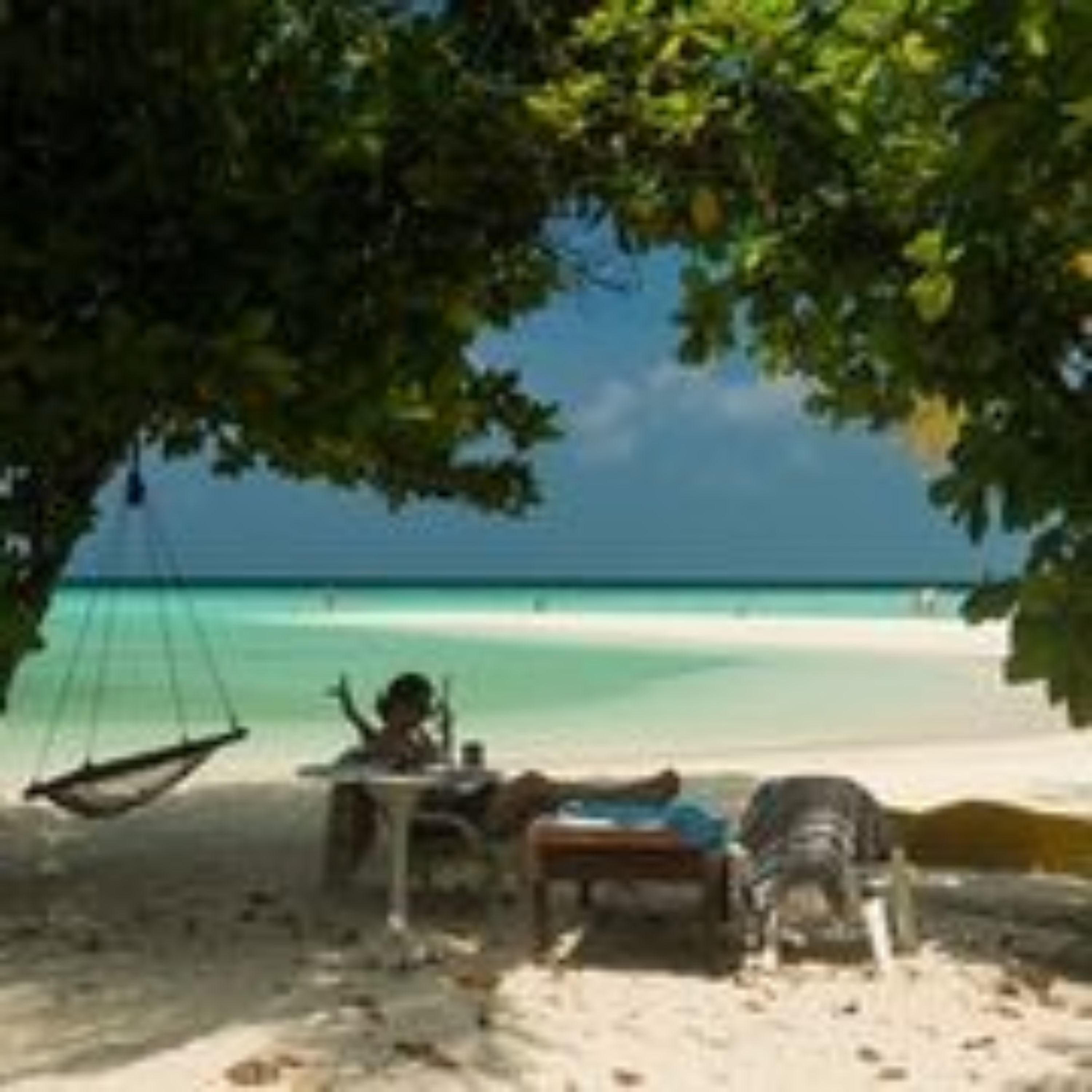 A beach scene with a hammock, a table, and a chair under a tree.