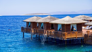 Private beach, white sand, free beach shuttle, sun loungers