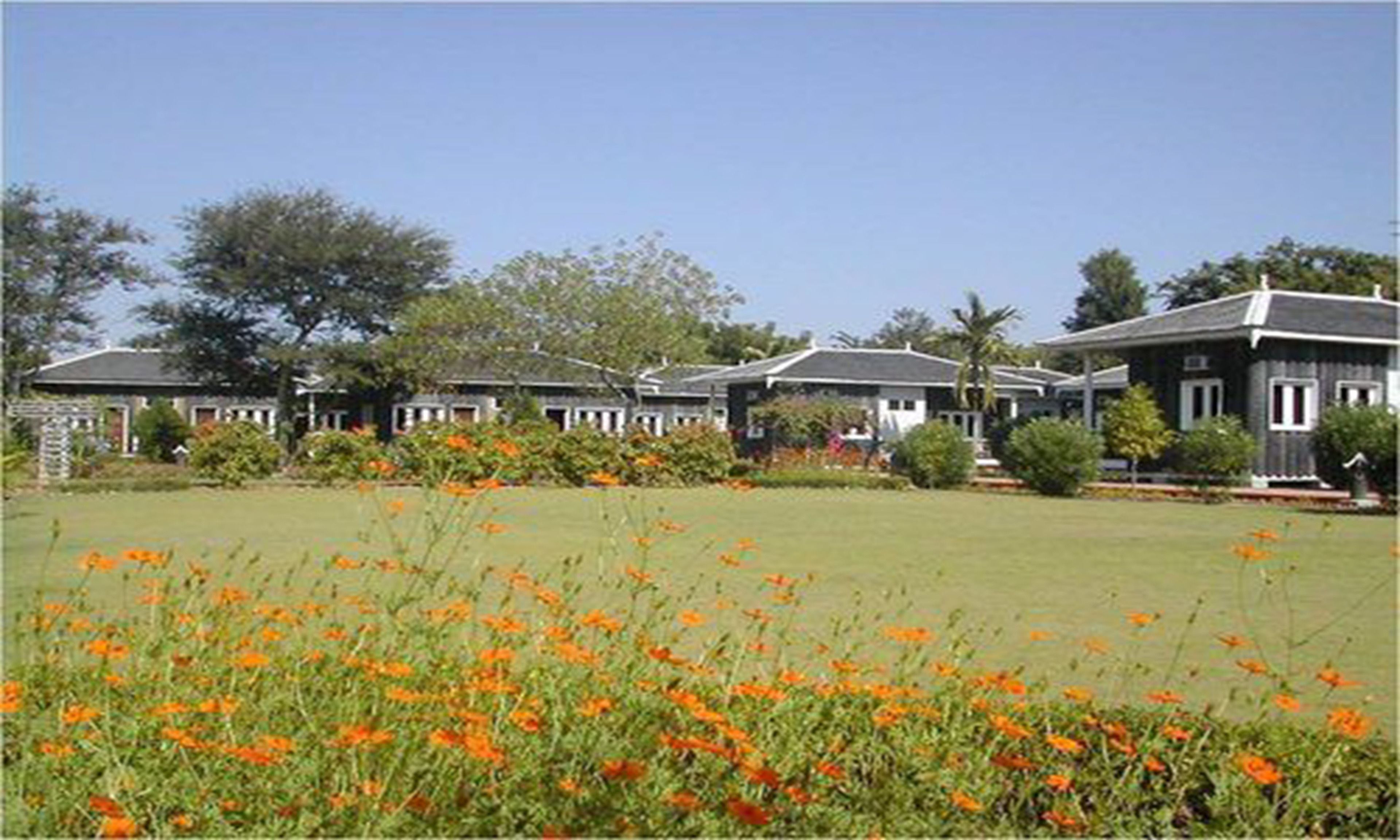 A row of residential buildings with a well-maintained lawn and orange flowers in the foreground.