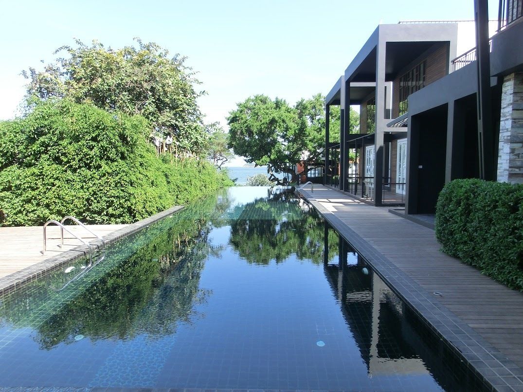 A modern hotel with a pool, wooden deck, and greenery.
