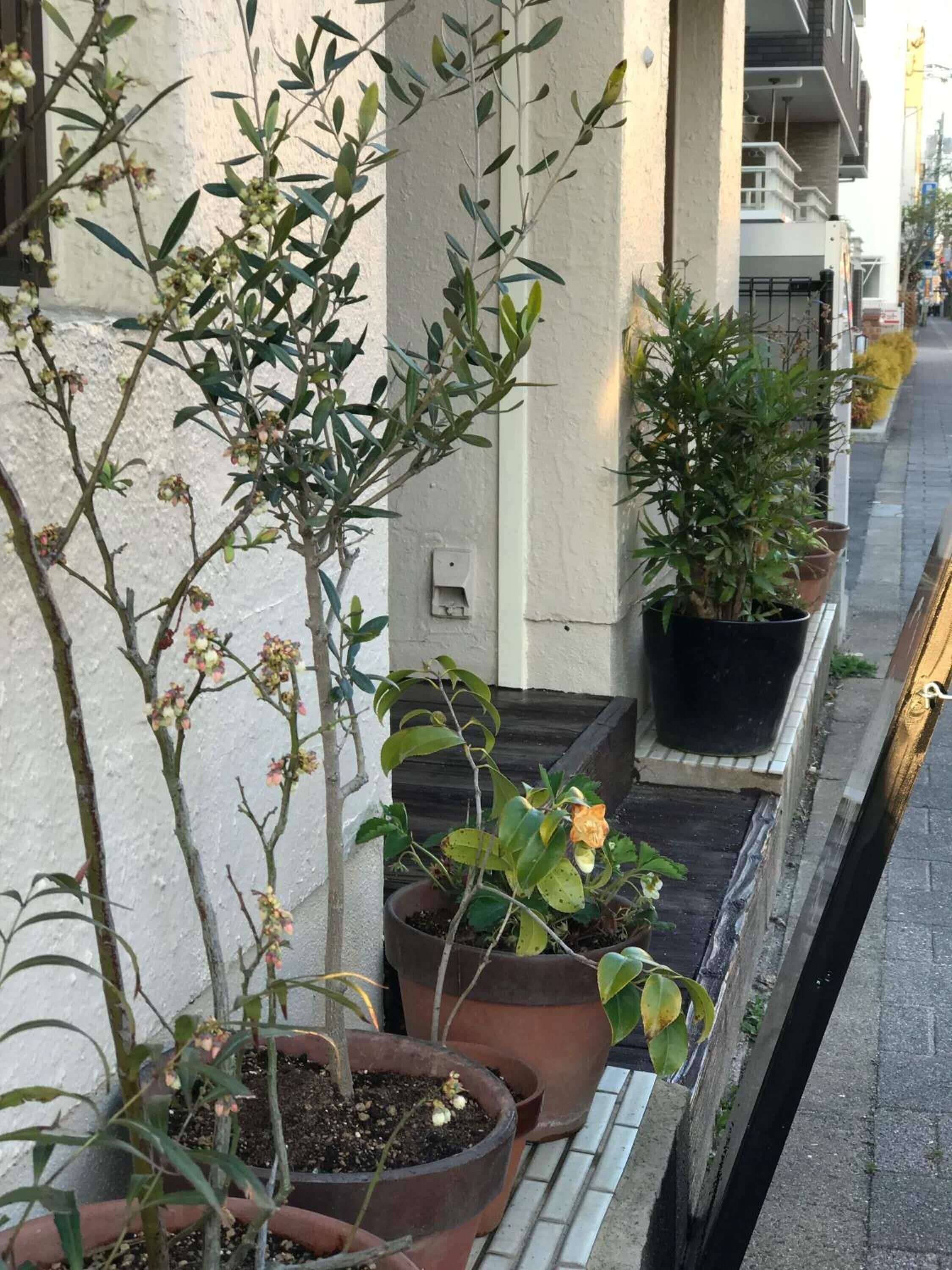 住宿地面