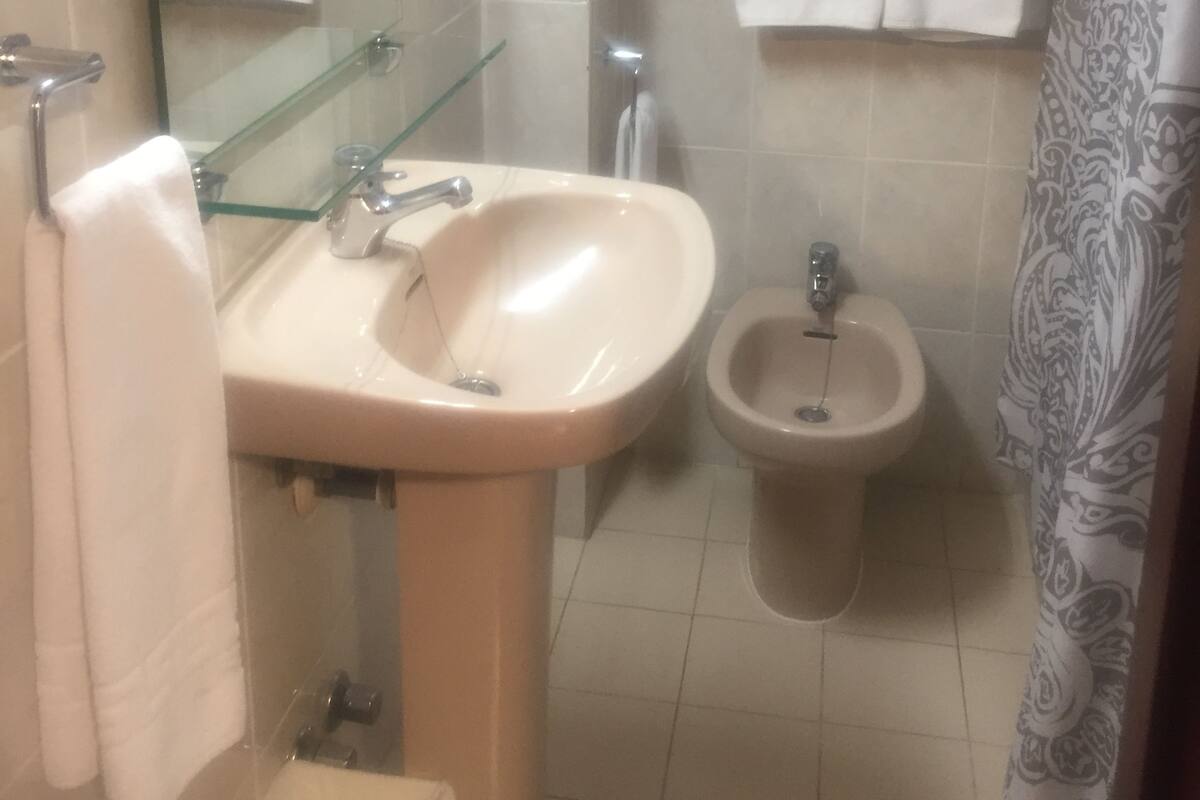Dobbeltværelse med dobbeltseng eller 2 enkeltsenge | Badeværelse | Badekar, gratis toiletartikler, hårtørrer, håndklæder