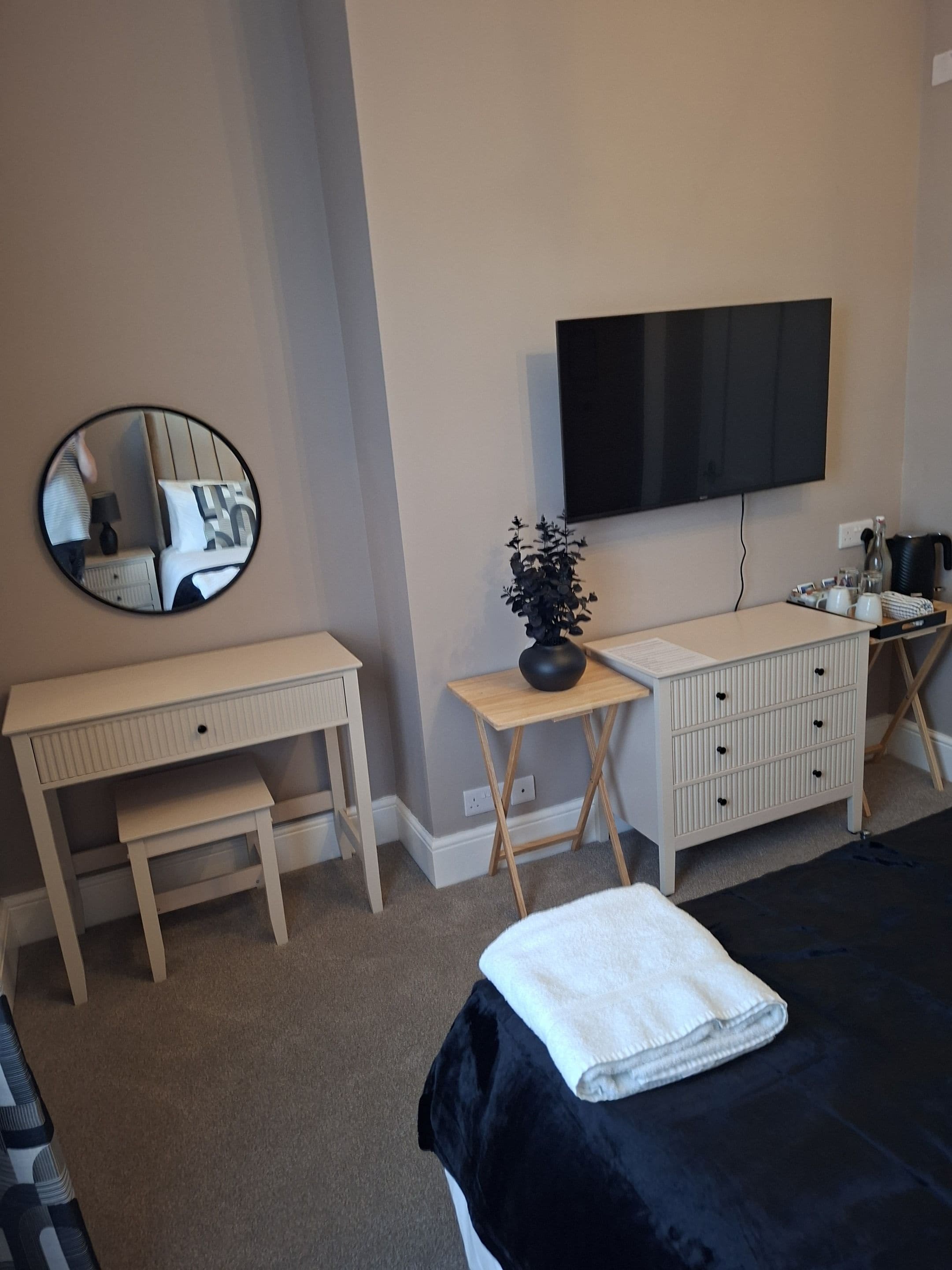 A bedroom with a bed, a desk, a chair, a TV, a small table with a plant, and a bedside table with a lamp.