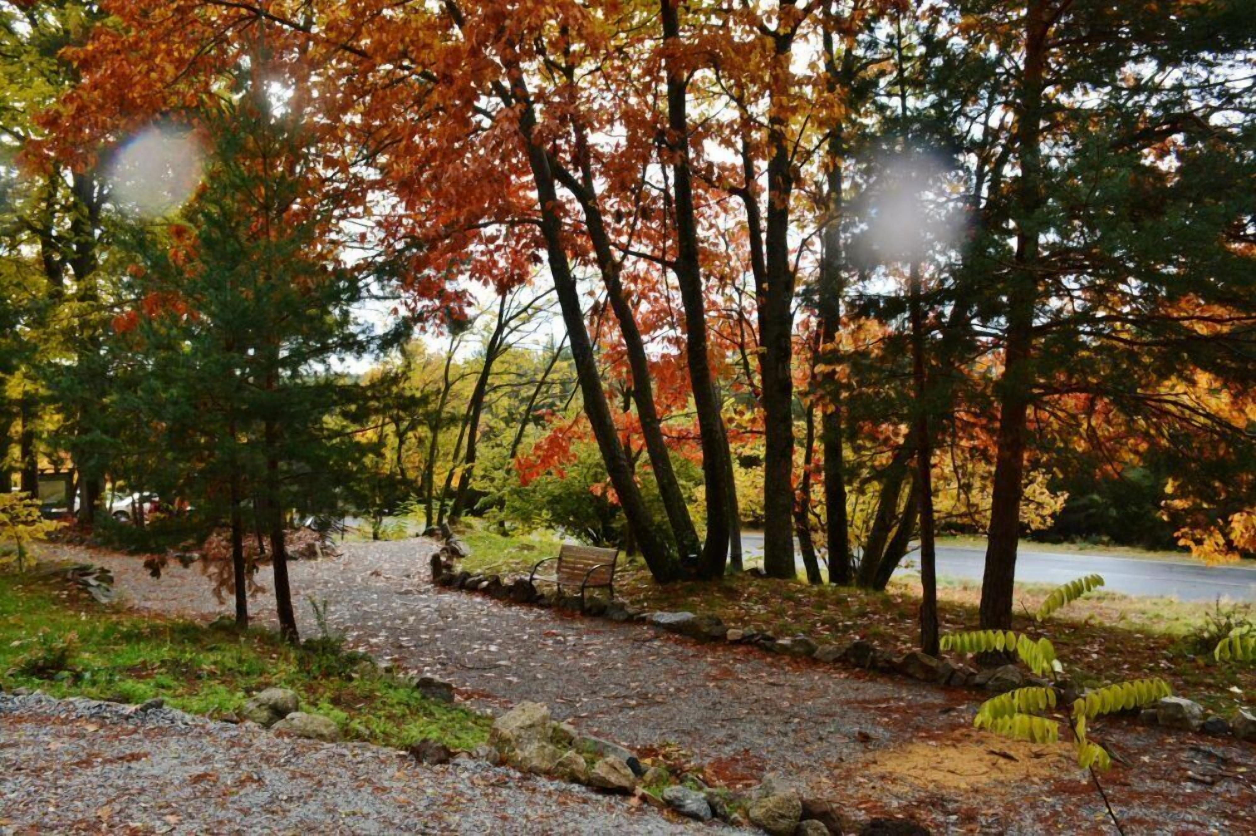 Foto - Hospedium Hostal Almanzor