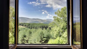 Una ventana con vista a un paisaje boscoso y montañas.
