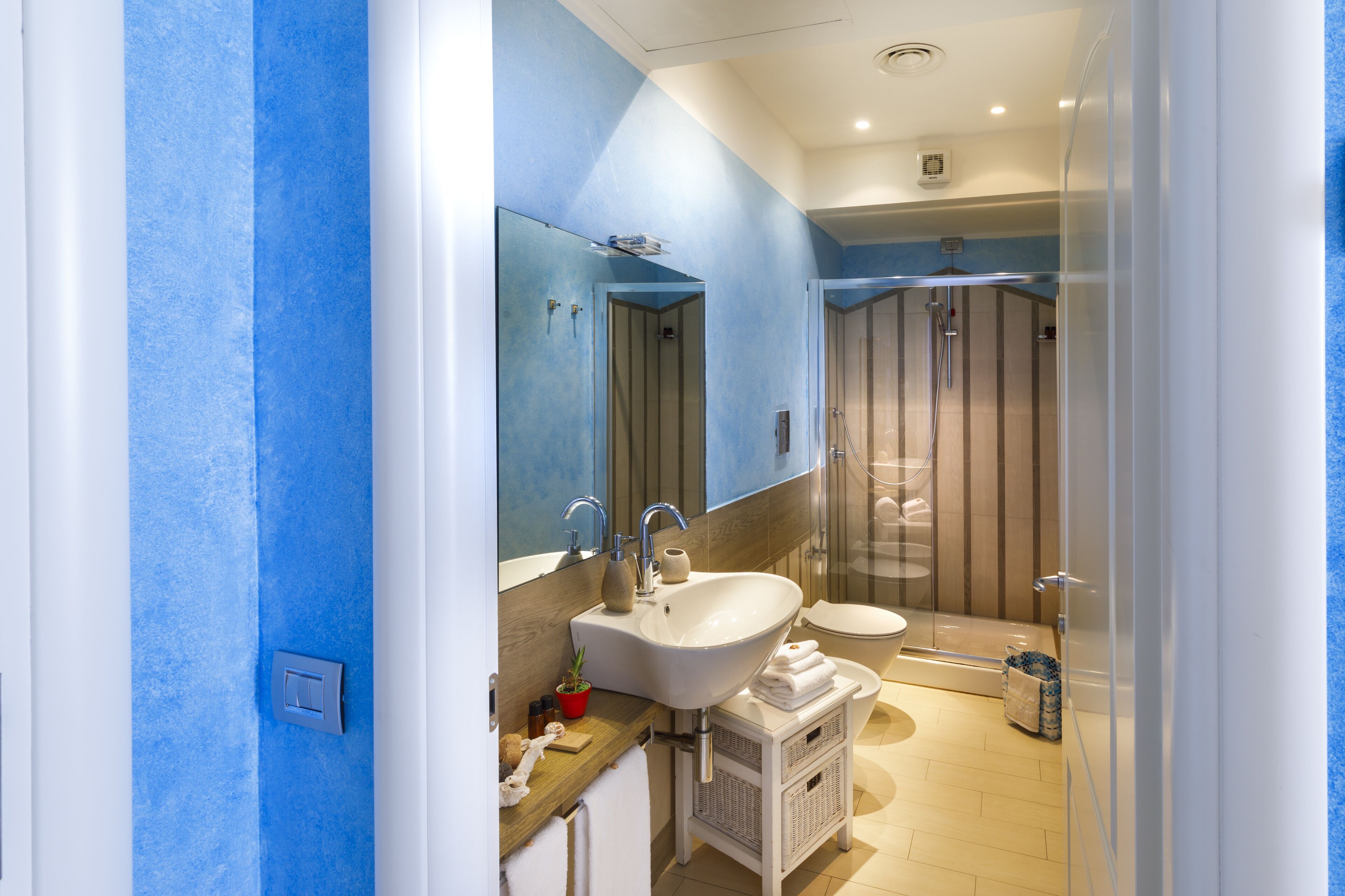 deluxe room | bathroom | shower, rainfall showerhead, hair dryer, bidet