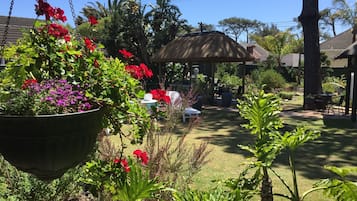 Vista al jardín
