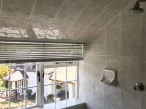 Panoramic-Doppelzimmer, 1 Schlafzimmer, Bergblick | Dusche im Bad