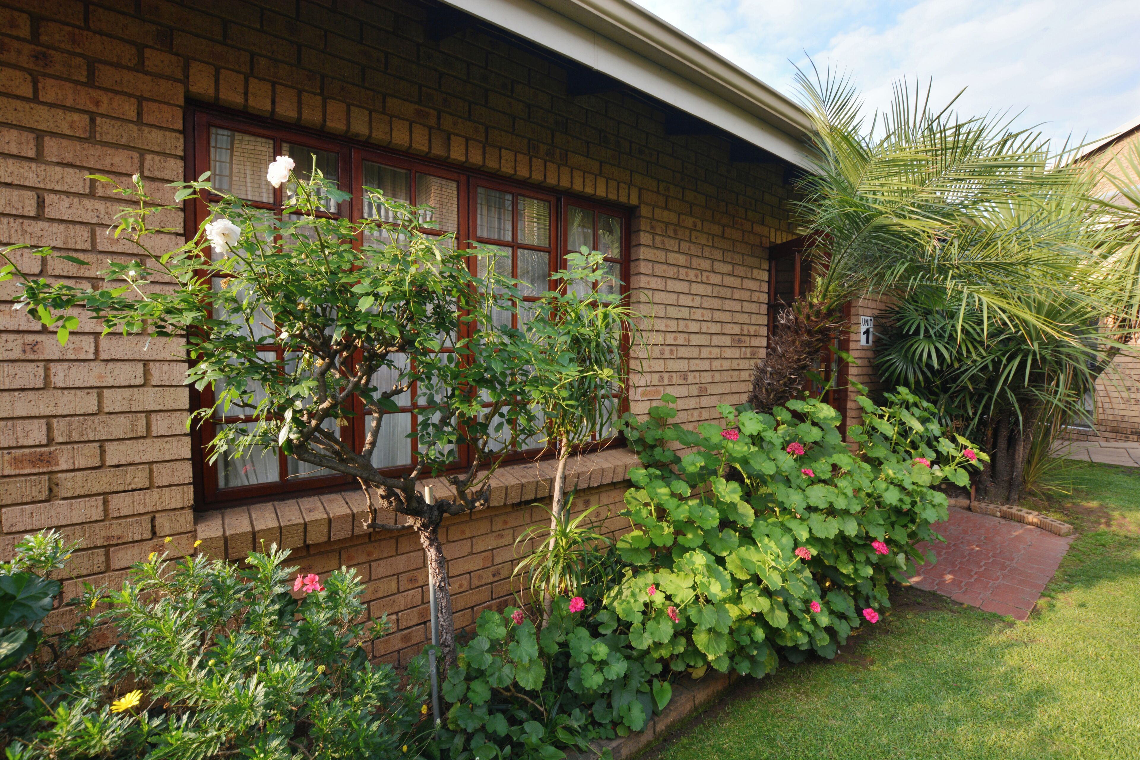 Una casa de ladrillo con una ventana, un pequeño jardín con diversas plantas y una palmera.