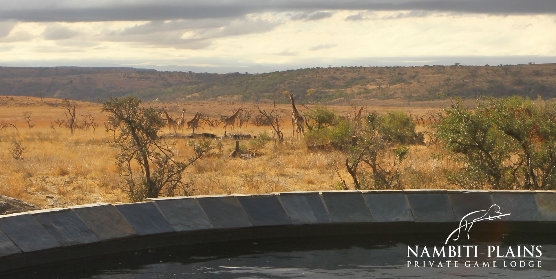 A view of the landscape from a private game lodge with a dry savannah and giraffes in the background.