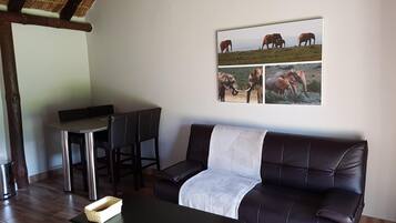 Flat-screen TV