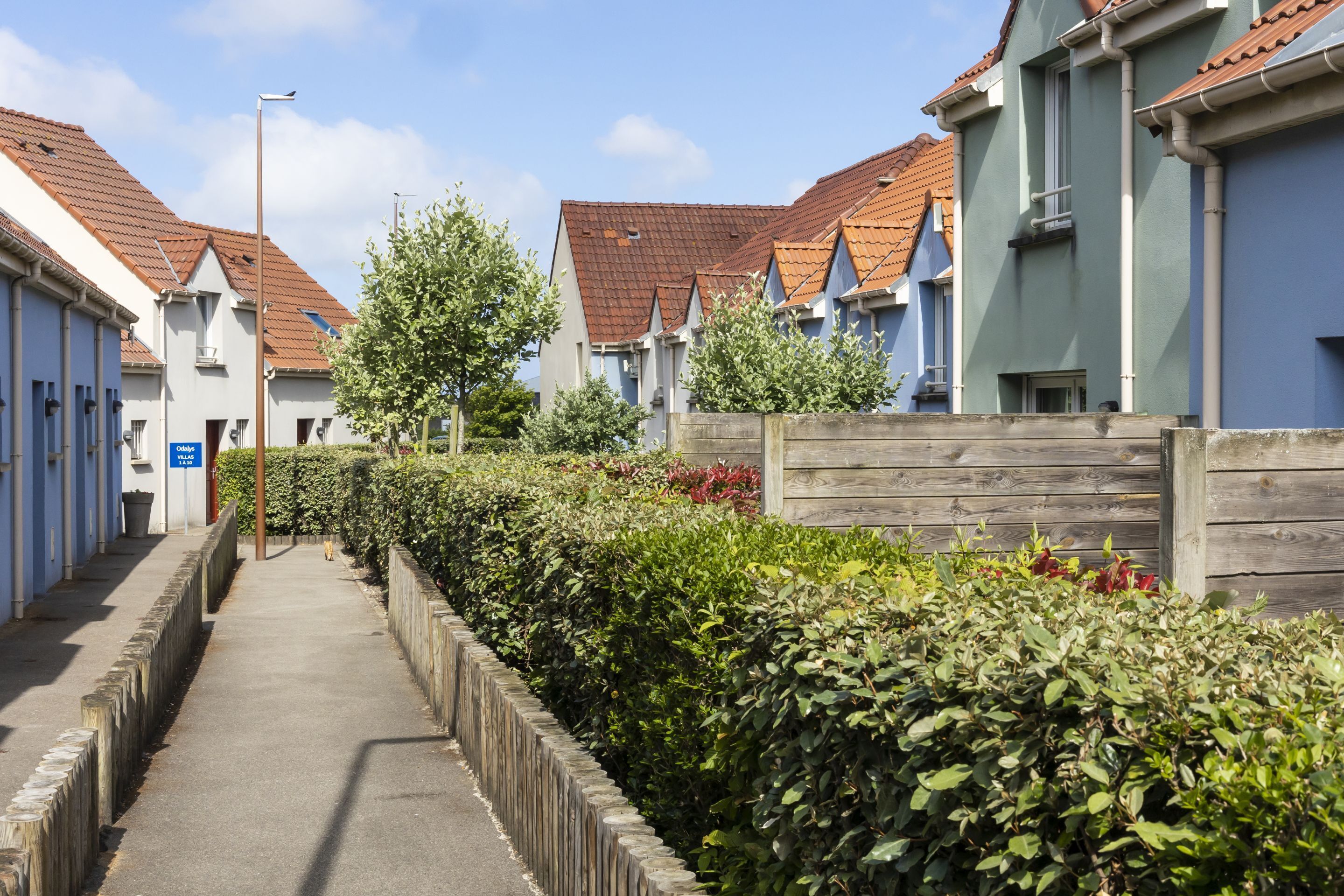 A narrow pathway flanked by neatly trimmed hedges and wooden fences, leading to a row of houses with red-tiled roofs and light-colored walls.
