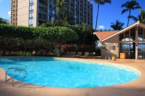 Estudio | Alberca | Alberca al aire libre 