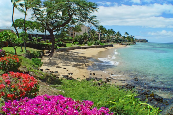 Condo, 2 Bedrooms | Beach
