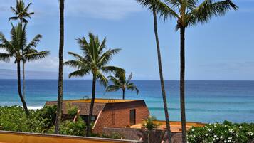 A beachfront property with palm trees, a clear view of the ocean, and a building with a sloped roof.