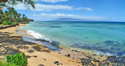 Kuleana 206 by RedAwning