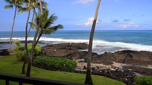 A coastal view with palm trees, a rocky shoreline, and the ocean. - Kona Bali Kai 223 - Oceanfront 2 Bedroom Condo by RedAwning (Kailua-Kona)