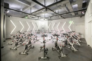 Un gimnasio con varias bicicletas estáticas dispuestas en filas.