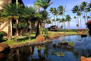 Condo | Property grounds - Papakea #b207 Studio Bedroom Condo by RedAwning (Lahaina)