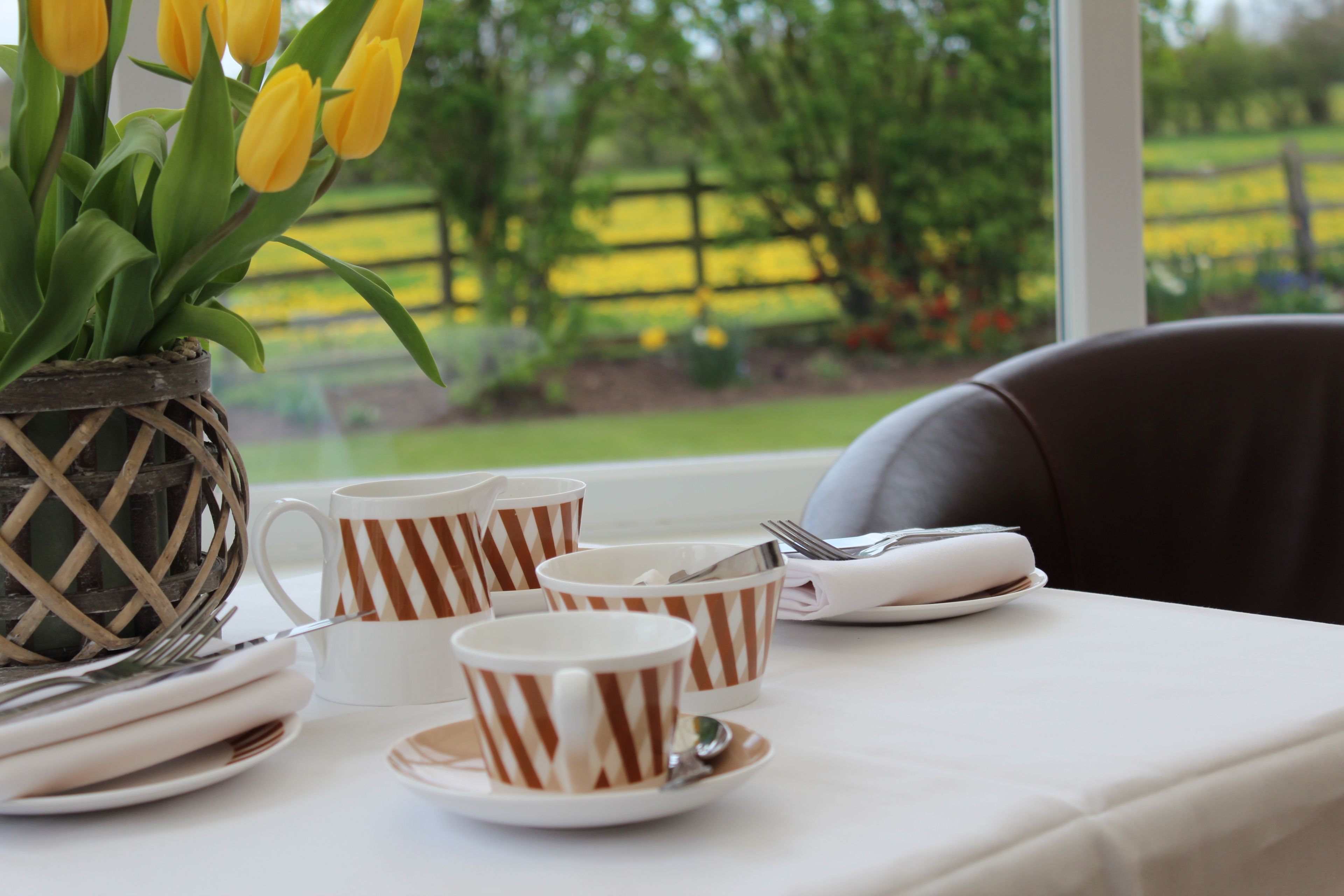 lunch and dinner served