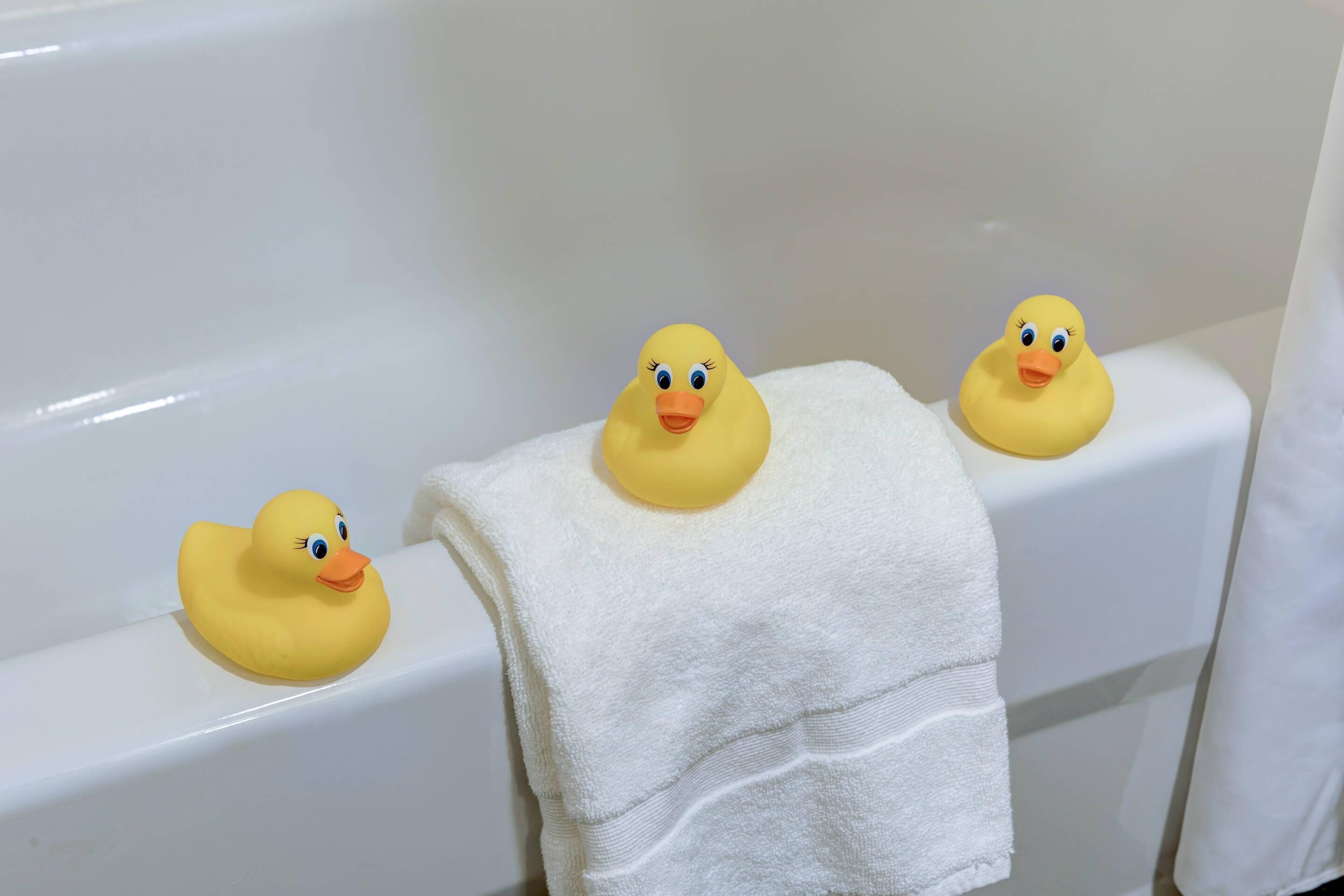 standard room, 2 queen beds, non smoking | premium bedding, desk, blackout curtains, iron/ironing board