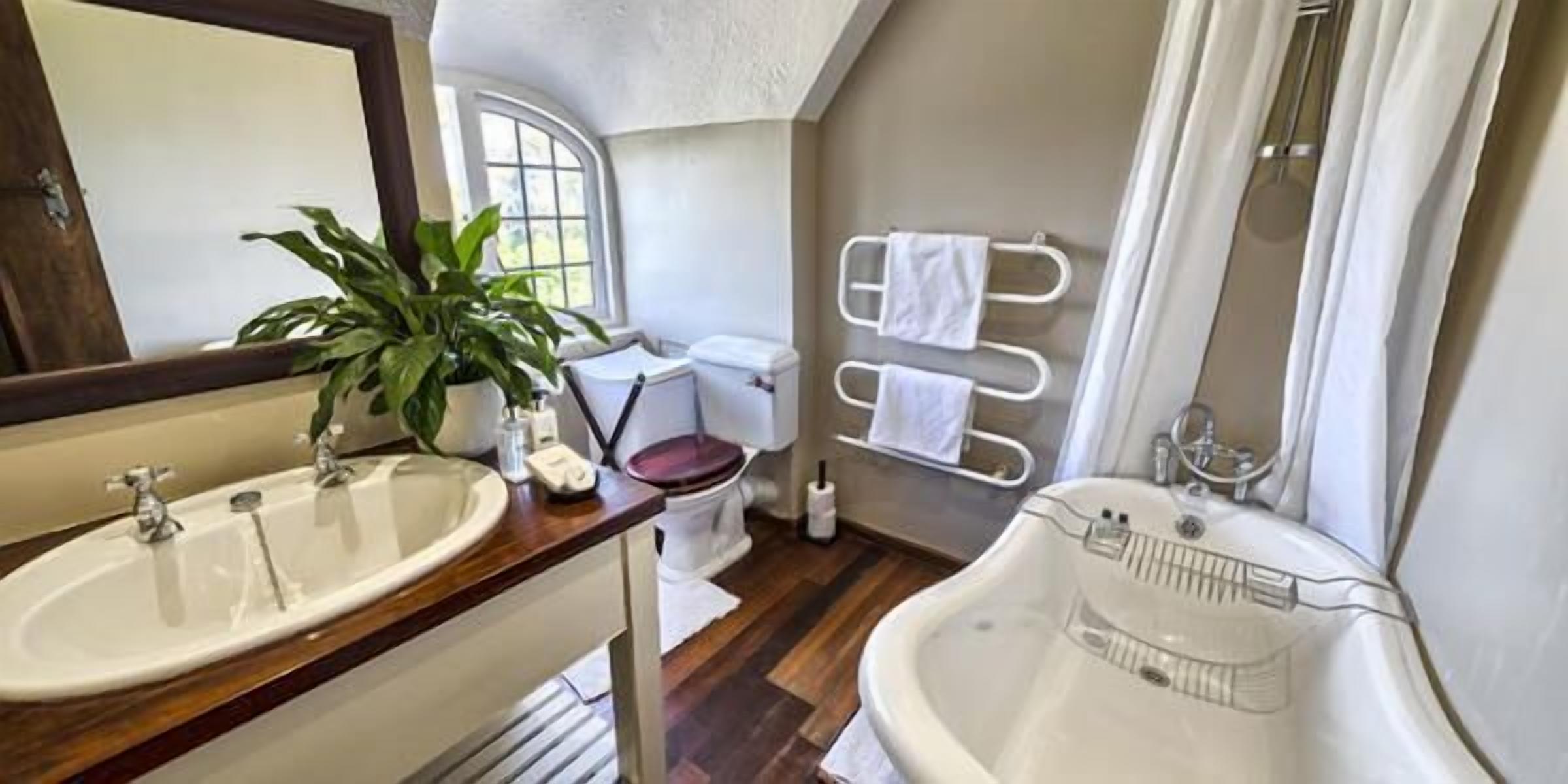 A bathroom with a sink, toilet, and bathtub. There is a window and a plant on the counter.