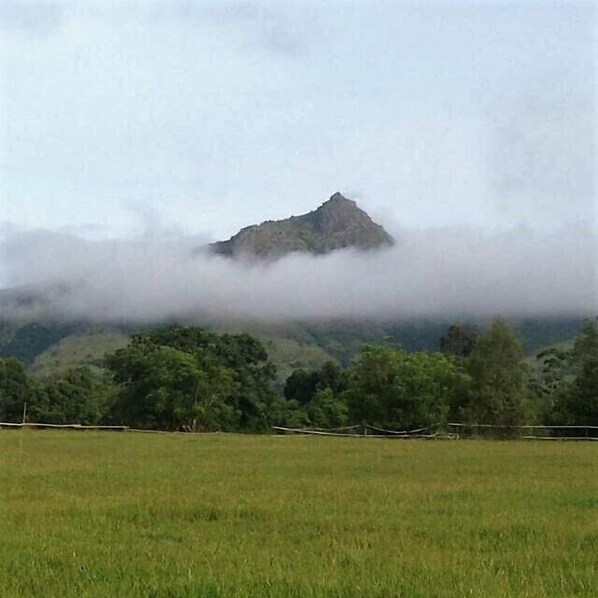 วิวจากที่พัก