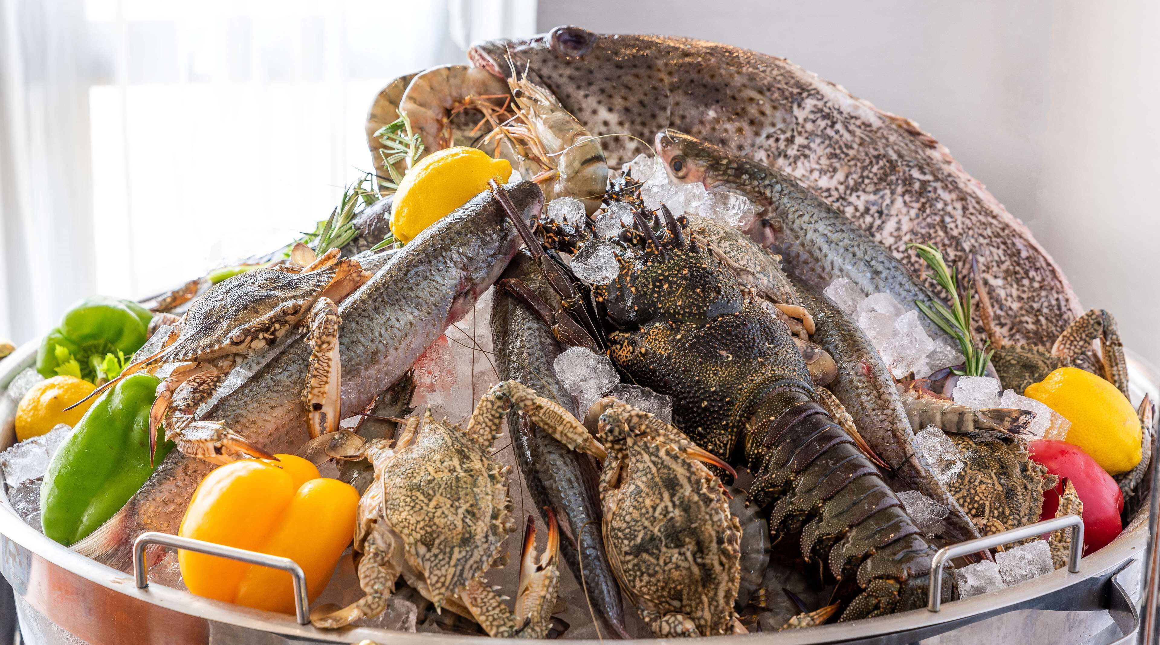 Foto - Park Inn by Radisson Makkah Al Naseem