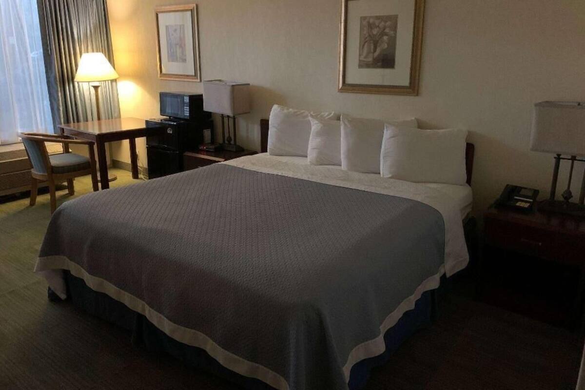 A hotel room with a bed, desk, chair, lamp, television, and framed pictures on the walls.