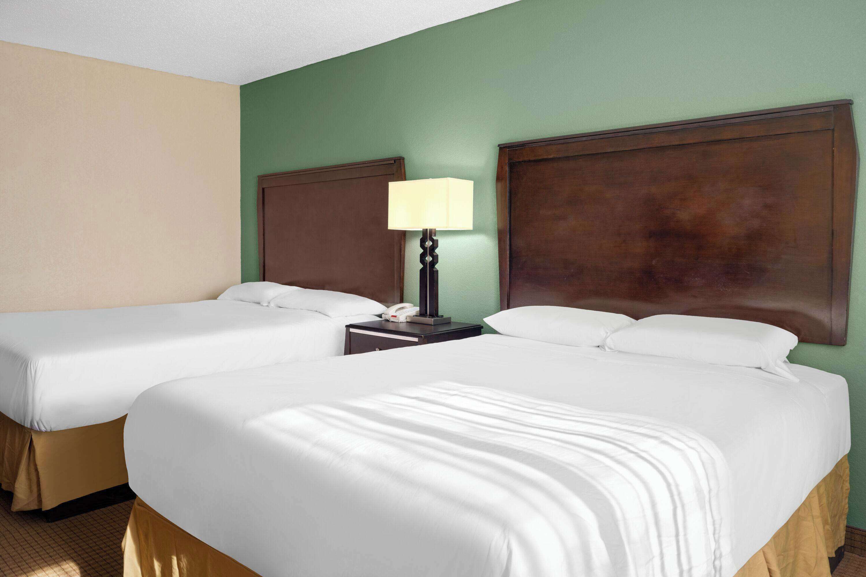 A hotel room with two beds, a nightstand with a lamp, and a green wall.