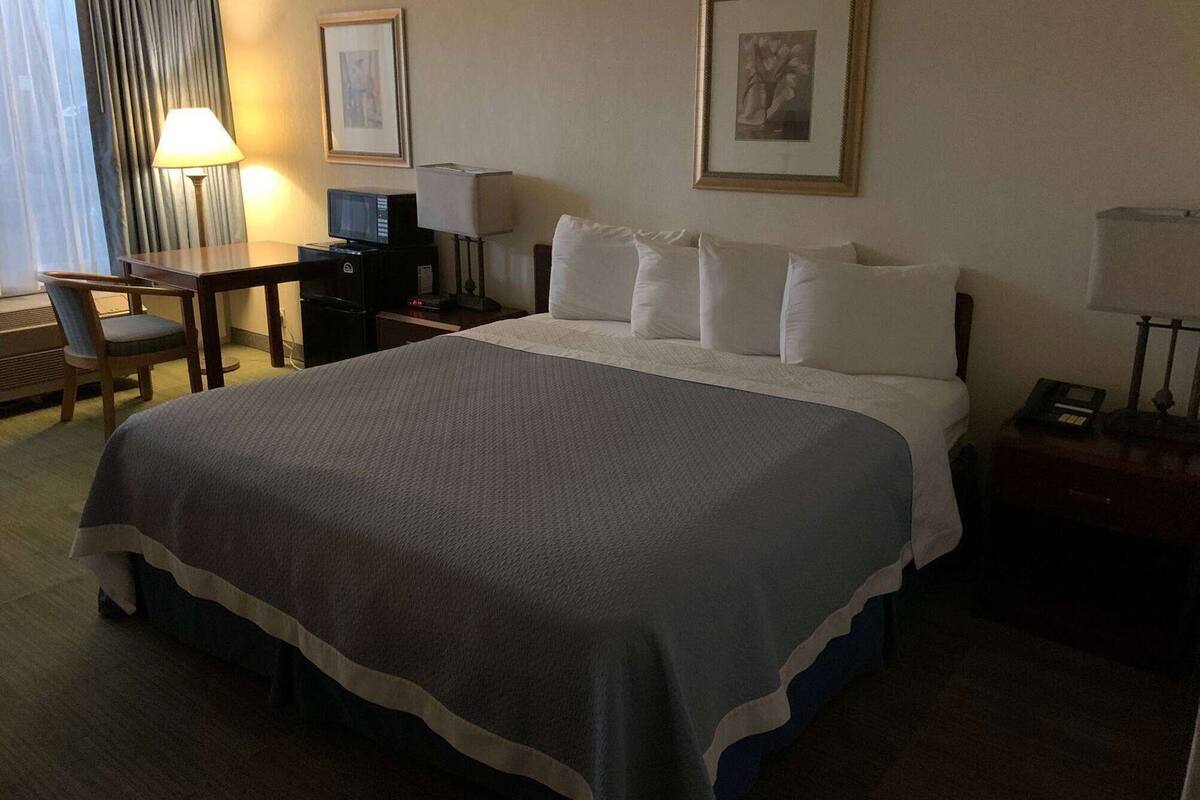 A hotel room with a bed, a desk, a chair, a television, and a lamp.