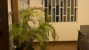 A room with a wooden floor, a potted plant, a window with bars, and an air conditioning unit. - Apartamentos Katy (San Andrés)