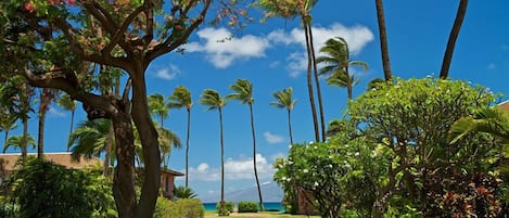 Condo, 1 Bedroom | Beach | Beach nearby
