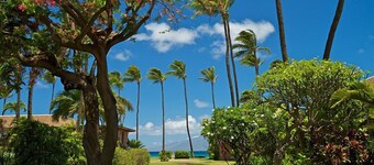 Maui Sands #6e 1 Bedroom Condo by RedAwning